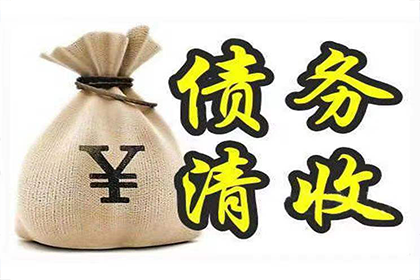 股东个人债务是否波及公司利益？
